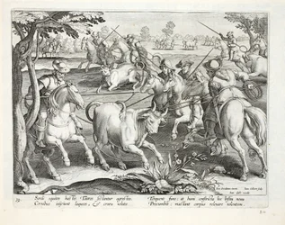 Sardinští jezdci zachycují býky provazy, ilustrace z 